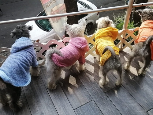 Imagen 8 de 9 de Bata De Baño Con Gorro Para Perro T1 Varios Colores Dogmania