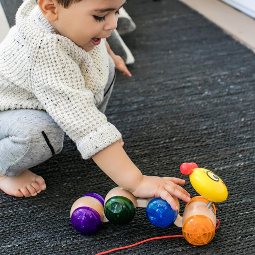 Juguete De Madera De Jaladera Oruga Baby Einstein 11655