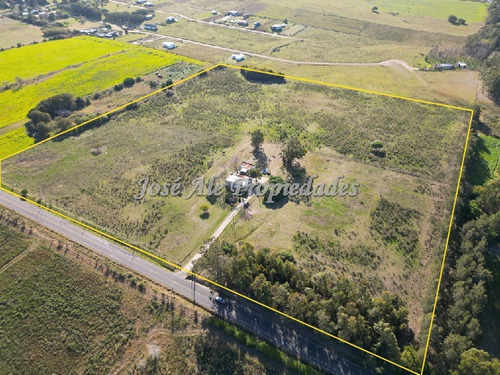 En Venta Campo De 6 Ha Ganadero - Agrícola A 1 Cuadra Y Media De La Ruta 21, Colonia Del Sacramento.