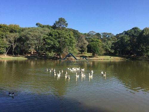 Imagem 9 de 15 de Super Oportunidade!!!! 2 Terrenos Vizinhos Em Condomínio Km 39 Da Raposo! - 471