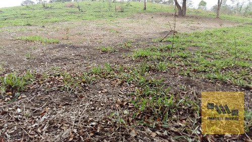 Imagem 3 de 13 de Terreno Em Monte Negro - Santa Isabel - 4041