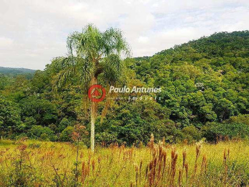 Imagem 19 de 20 de Sítio 4 Dorms - R$ 850.000,00 - 97,87m² - Código: 9046 - V9046