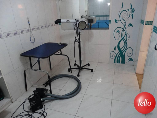 Imagem 9 de 20 de Comercial - Ref: 203648