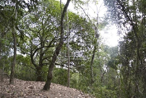 Imagem 1 de 11 de Terreno - Ref: 493988