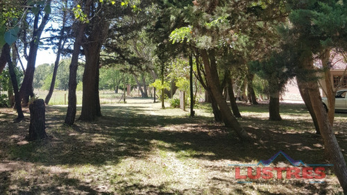 Imagen 10 de 13 de Chacra Terreno En Venta Lotes San Clemente Gral Lavalle