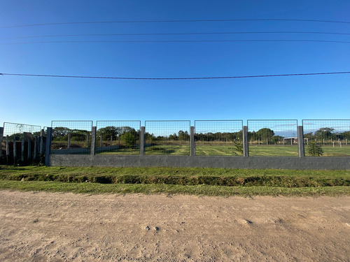 Gran Terreno De 1500 M2 Con Cerco En Bo Ayelén