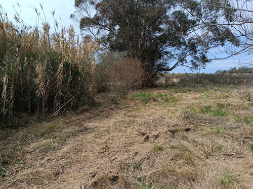 Vendo Muy Lindas 4 Has A Pasos De Ruta 11 Y A 12 Km De La Ciudad De Canelones Consulte