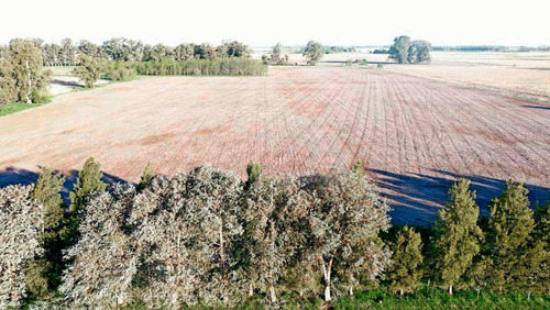 Imagen 10 de 10 de Campo Mixto De 46 Has - La Porteña, Lobos