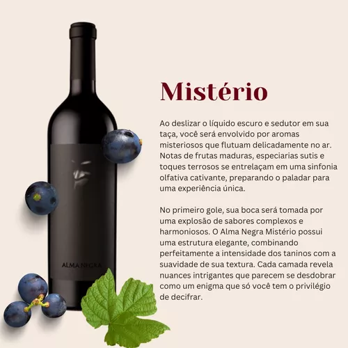 Vinho Argentino Tinto Alma Negra Misterio Blend