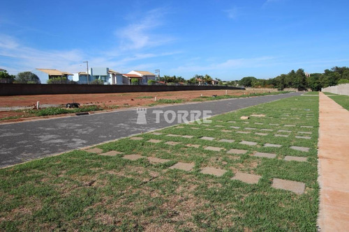 Imagem 12 de 17 de Terreno À Venda Em Vila Modesto Fernandes - Te002467