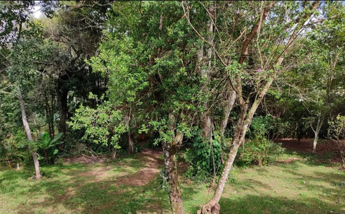 Imagem 5 de 25 de Chácara Chapada - Ch0031