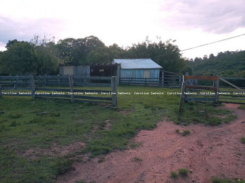 Imagem 4 de 15 de Sítio / Chácara Para Venda Em Mariana Pimentel, Terra Dura - 1259_1-2189697