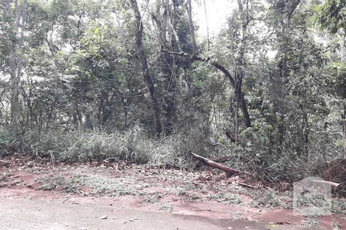 Imagem 1 de 4 de Lote À Venda No Arvoredo - Código 274040 - 274040