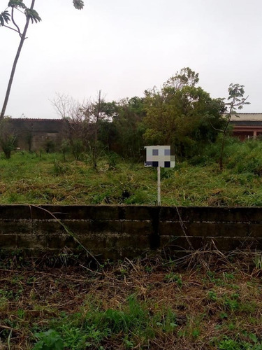 Imagem 3 de 4 de Terreno À Venda Com 350 M2, Em Peruíbe-sp