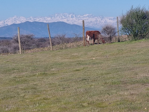 Vendo Parcela Con Agua Y Radier De 160 Mtrs2 En Marchigue