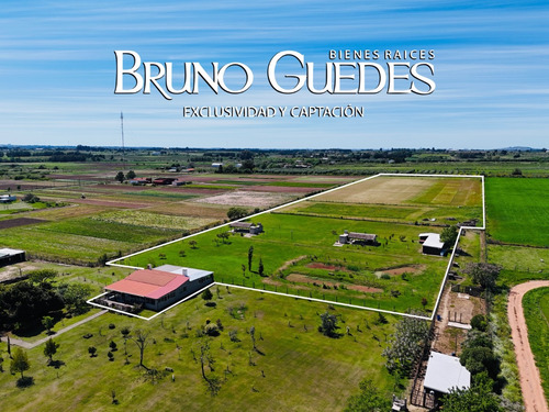 Se Alquila Chacra Con Salón De Eventos Y Canchas De Futbol Rincón Del Cerro Montevideo Rural