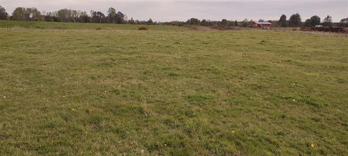 Imagen 6 de 11 de Se Vende Terreno Agrícola 1,5 Ha Quema Del Buey, Puyehue,