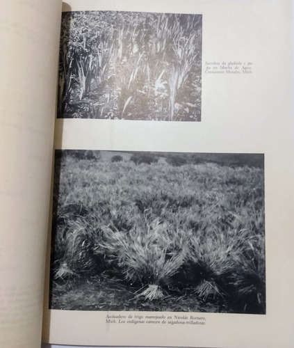 Los Otomianos De Zitacuaro (03a1) J (Usado)
