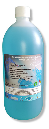 Shampoo Concentrado Profesional Lavado De Alfombras Tapetes