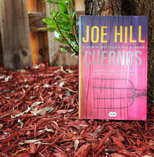 Joe Hill Hijo De Stephen King Cuernos (Usado)