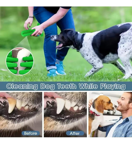 Mordedera Limpia Dientes Con Forma De Cactus Para Perros **