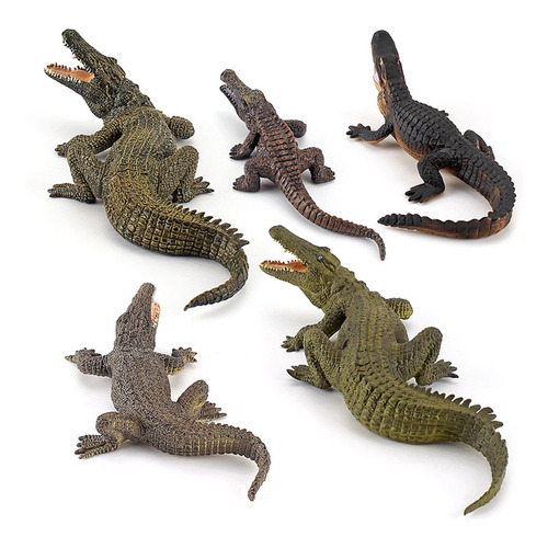 Modelo De Cocodrilo 5 Piezas