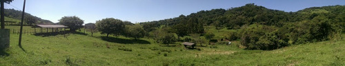 Imagem 22 de 30 de Fazenda 132 Alqueires, Casa Sede, Curral, Barracão, Rica Em Água Com Riacho, Pasto, Topografia Ótima, Ótima Localização,a/c 50% Permuta Imoveis/veicul - Fa00254 - 70788503