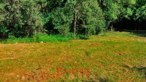 Imagen 5 de 11 de Terrenos O Lotes Venta Merlo