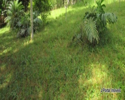 Imagem 7 de 8 de Terreno - 99 - 32939102