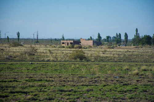 Imagen 2 de 6 de Lote 2.000 M En Venta San Rafael Mendoza