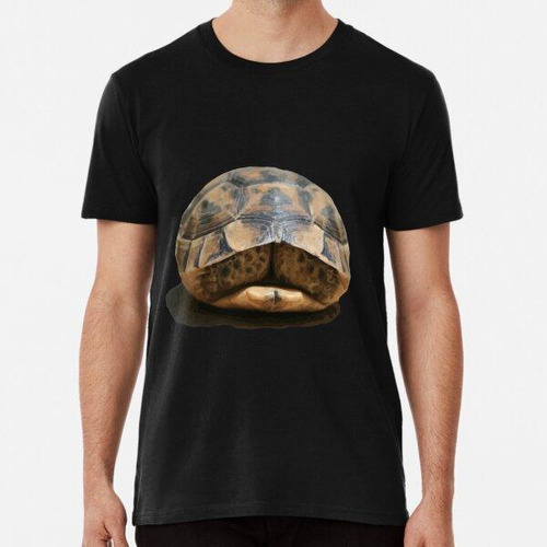 Remera Tortuga Escondida En Corte De Arte Vectorial Algodon 