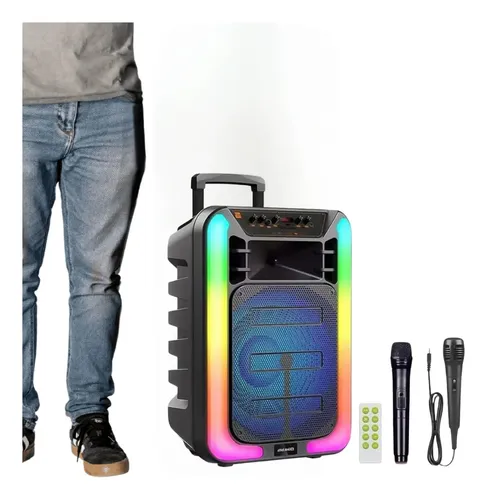 Parlante Portatil Con Microfono Inalambrico 15 Pulgadas Negro
