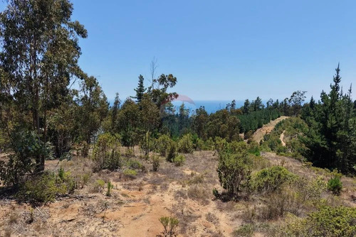 Extraordinario Terreno En La Polcura, 6.575 M²