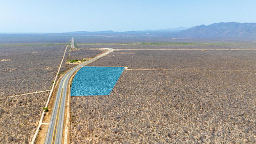 Km19 Carr. Transpeninsular, Lote San Pedro