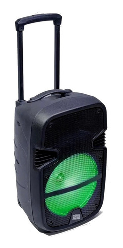 Parlante 12 Portatil Gran Potencia 5000w Bluetooth Karaoke