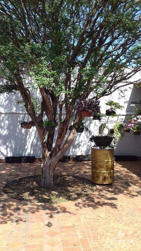 Imagem 18 de 30 de Chácara Residencial À Venda, Vale Do Sol, Piracicaba - Ch0051. - Ch0051