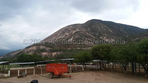 Imagen 20 de 30 de Terrenos En Venta En Moran 04245565759