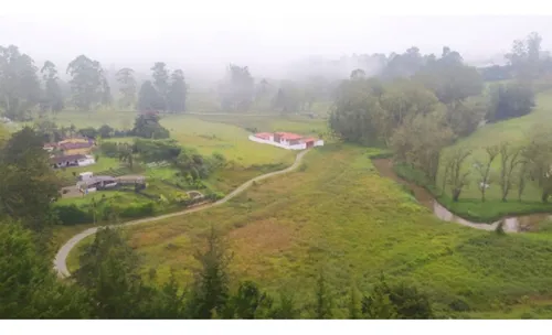 Apartamento Terra