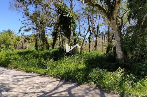 Imagem 4 de 5 de Terreno De Chácara No Chácara Gloria, Em Itanhaém Ch096