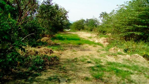 Terreno Venta Poza Rica De Hidalgo Veracruz 2000 M²