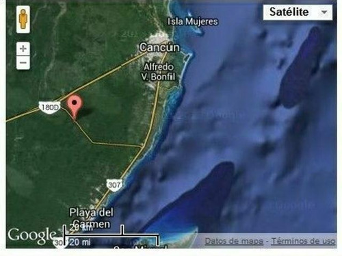 Imagen 3 de 4 de Terreno Para Crear Tu Cabaña Y Tu Cenote