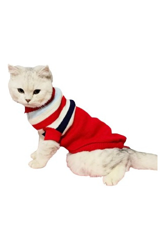 Roupinha Pet Sueter Gola Rolê Roupa Cachorro Gato