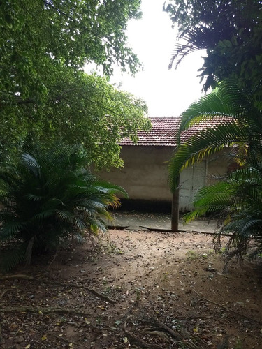 Imagem 2 de 14 de Sitio 2,5 Alqueire Na Br 153 Entre Getulina E Guaimbe