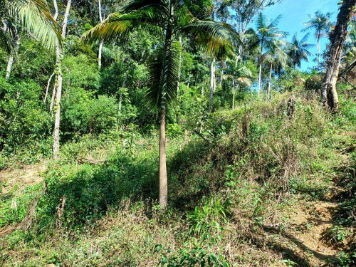 Imagem 2 de 6 de Ótimo Para Moradia 800 M² Sinal De Celular Ótimo Acesso