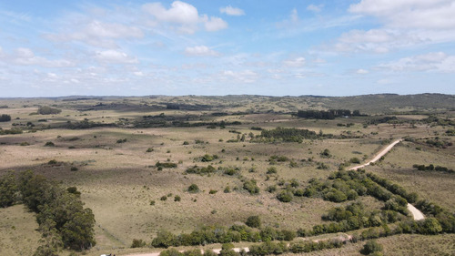 Campo De 50 Ha Ganadero En Maldonado, Garzon (ref: Atm-6816)