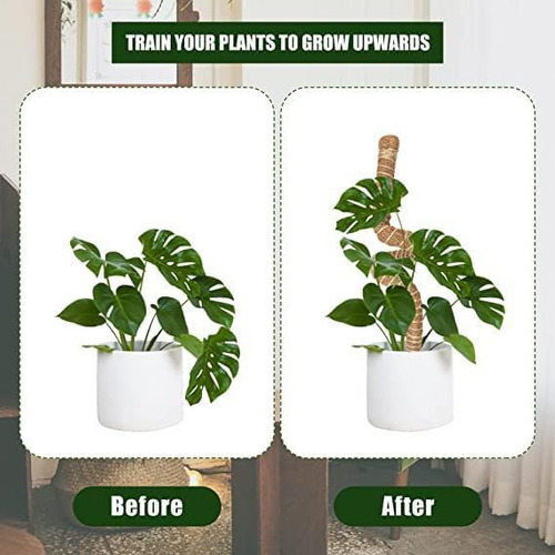 Tutores Para Plantas, Soporte Para Plantas Coco Poste Musgo