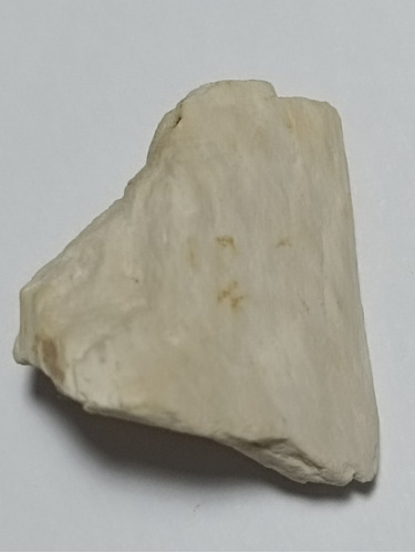 Piedra Fosilizada Madera 