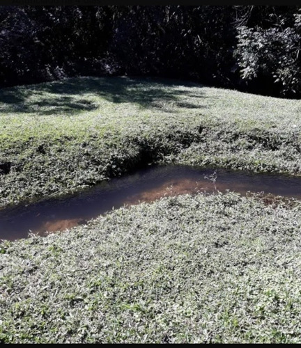 Imagem 12 de 14 de Terreno De 16.000m² Ibiúna Sp. Cód 449.