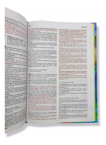 Imagen 6 de 9 de Biblia Juvenil De Estudio Rvr1960 Tapa Dura