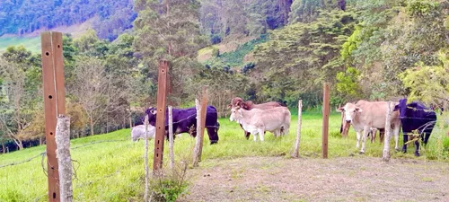 Finca En La Palma Cundinamarca